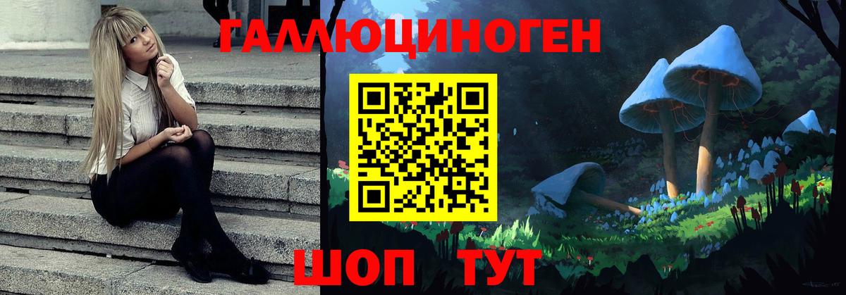 Галлюциногенные грибы мухоморы Гатчина