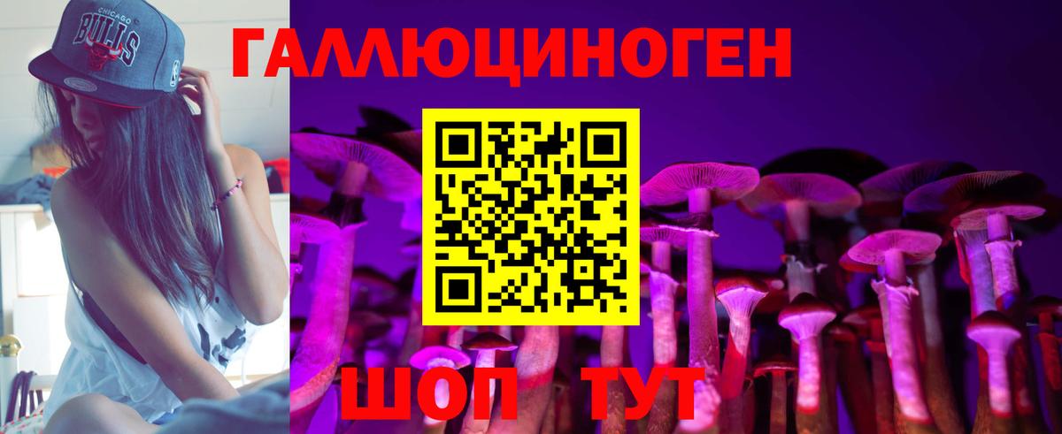 Гатчина  Галлюциногенные грибы Psilocybine cubensis  Вход с VPN 